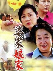 娘家婆家电视剧,情感纠葛中的家庭风云